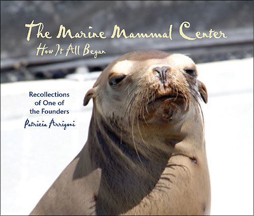 Rescue  The Marine Mammal Center