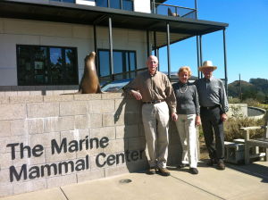 Marine Mammal Center